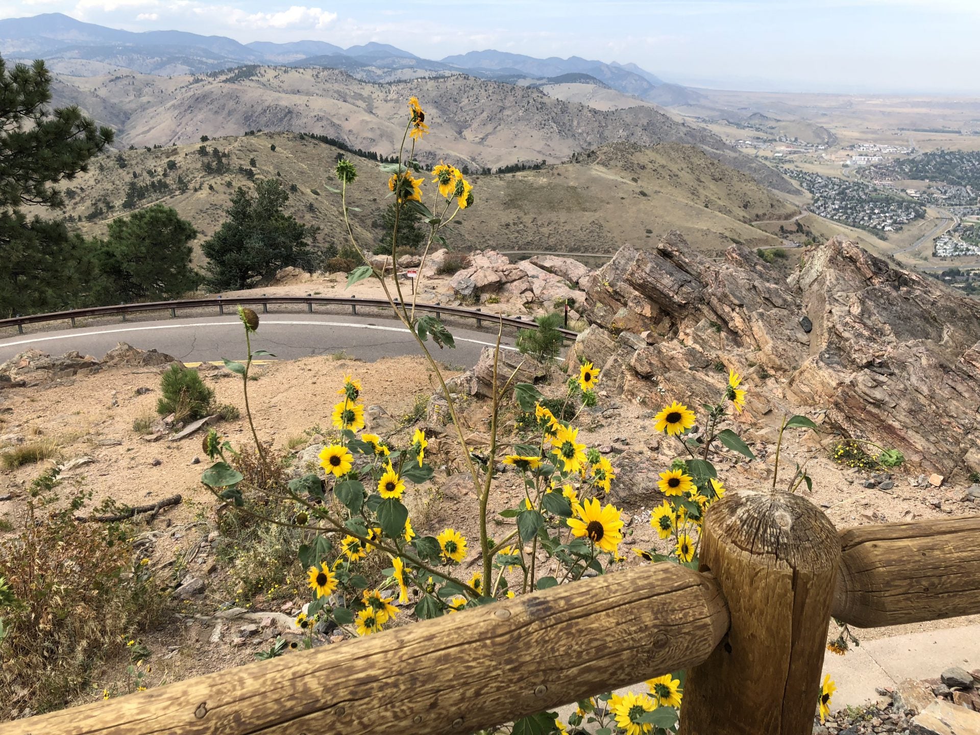 hampton lookout mountain